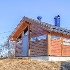 1 Bedroom Nice Home In Geilo