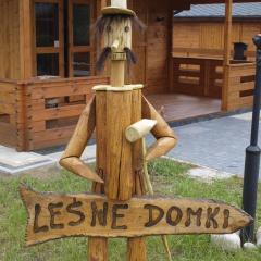 Radawa Leśne Domki - Leśny domek