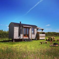 Shepherds Hut in a private meadow with sea views