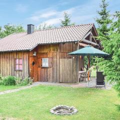 Pet Friendly Home In Waldmnchen With Kitchen