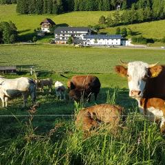 Ferienwohnung am Schneeberg