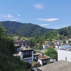 Terrassenwohnung mit toller Aussicht & zentrumsnah