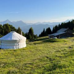 Alp Jurte Skihütte Feldis