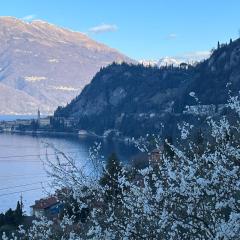 La punta di Varenna