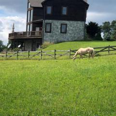 Country vacation home