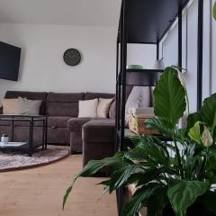 Apartman sa pogledom na more u Linardicima