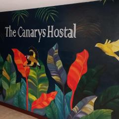 The Canarys Hostal