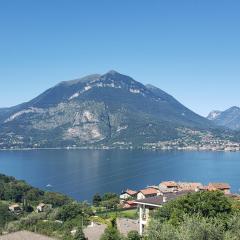 Lovely lake Como view condo in Perledo