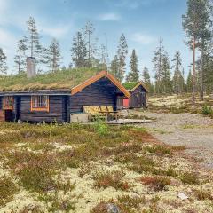 Lovely Home In Rendalen With Kitchenette