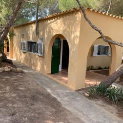 Casa Carmencita, immersa nel verde a due passi da mare