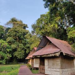 The Forest Elephant - Formerly known as the Flying Elephant