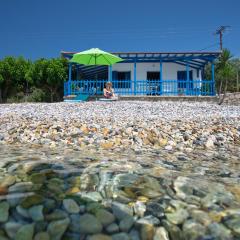 Seahorse cottage