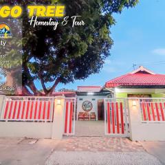 Mango Tree Homestay & Ijen Tour