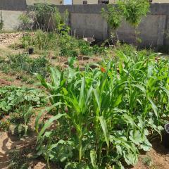 Charmant logement avec jardin en permaculture