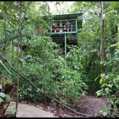 Jungle Living Tree Houses