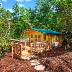 Laurel Ridge Cabin...experience nature in 90 acres!