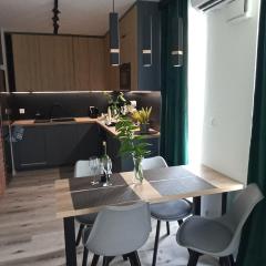 Apartament Bernata-Śródka