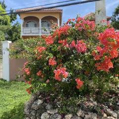 YanceyLargo- 4BR Villa Jacuzzi & Mountain Views