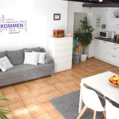 Ferienwohnung in Seewalchen