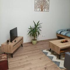 Štýlový Apartmán Zemplínska