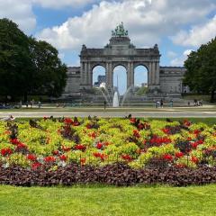 Cinquantenaire Appartement