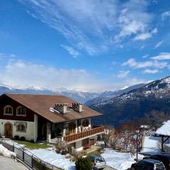 Chalet la Tulipe, mountain view, Terrace, BBQ