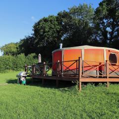 Allercombe Farm Glamping Yurts & Wild Camping