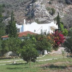 Villa Dunes 350m from the sandy beach