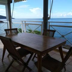 Bel appartement avec piscine, face à la mer