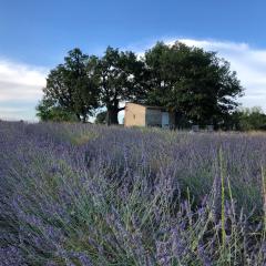 Cabanon du berger