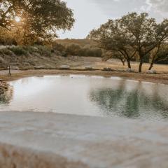 Nest - Texas Tiny House with a Big View