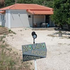 Avocado house