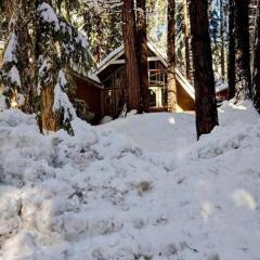 Modern Cabin Get Away - close to APPLE HILL