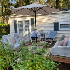 Luxe Chalet met prachtig terras op de Veluwe , veel privacy