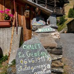 Chalet le Genepy with amazing views!