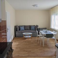 Affordable and Newly Renovated 1-bedroom Apartment