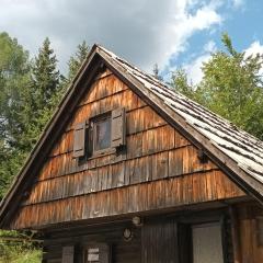 Planinska hišica pod macesni - Bohinj