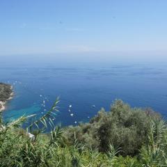 Grimaldi sea view