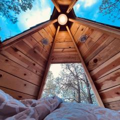 Pequeña cabaña mágica con chimenea interior