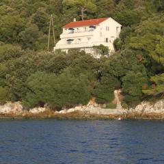 Apartments by the sea Ubli, Lastovo - 8355