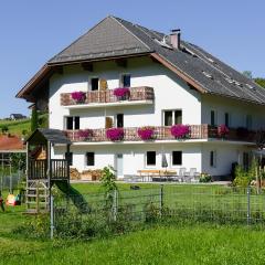Apartment Haus Sagerer near Attersee and Mondsee