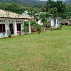 Rice field guest house