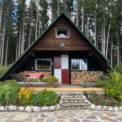 Berghütte Waldheimat