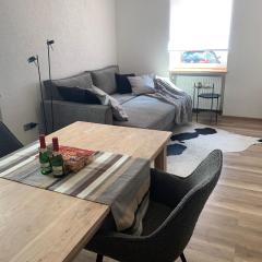 Nibelungen 1 Zimmer Apartment