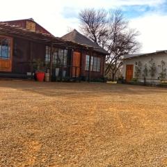 Thorn Tree Bloemfontein