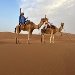 Erg Chegaga Camp & Activites
