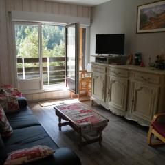 APPARTEMENT A LA BRESSE HOHNECK