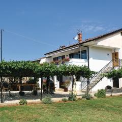 Apartments with a swimming pool Pula - 13020