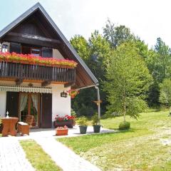 Holiday house with a parking space Crni Lug, Gorski kotar - 15058