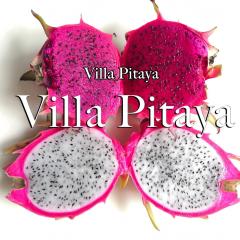 Villa Pitaya